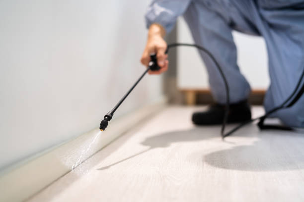 Licensed Cockroach Control service in Nolensville, TN - Nex Pest Control