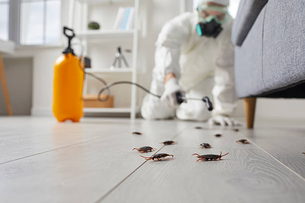 Trusted Cockroach Control service in Nolensville, TN - Nex Pest Control
